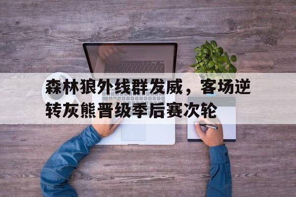 关于森林狼外线群发威,客场逆转灰熊晋级季后赛次轮的信息